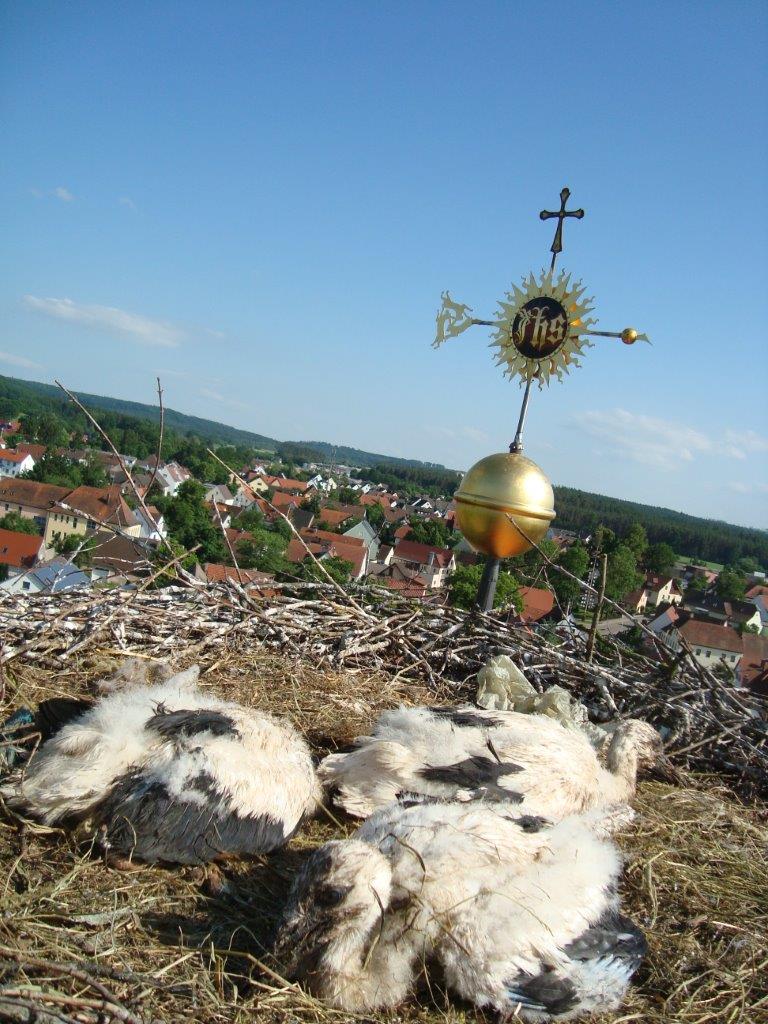 Kirchturmspitze aus Storchensicht | Messing Image